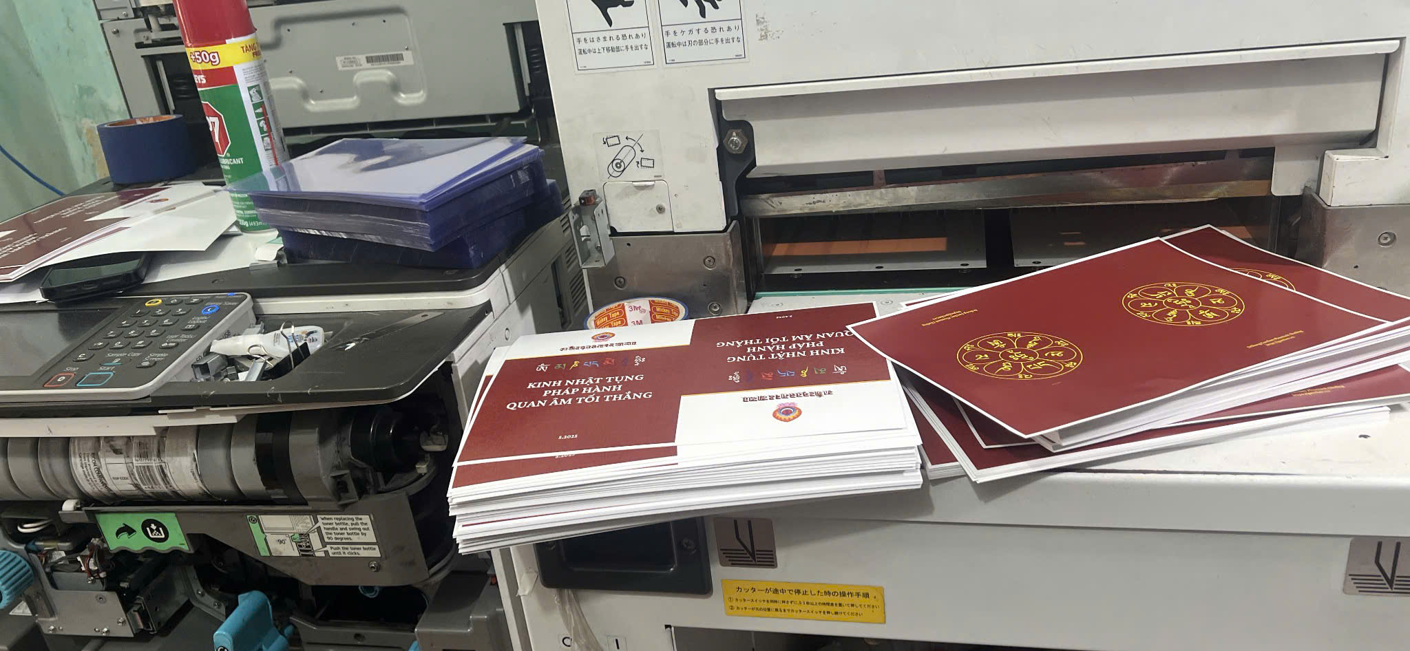 Photo màu, Photo màu A4 300đ/1 trang 2 z6643091622408 b3d93a63627907835485b03eb112d4ca