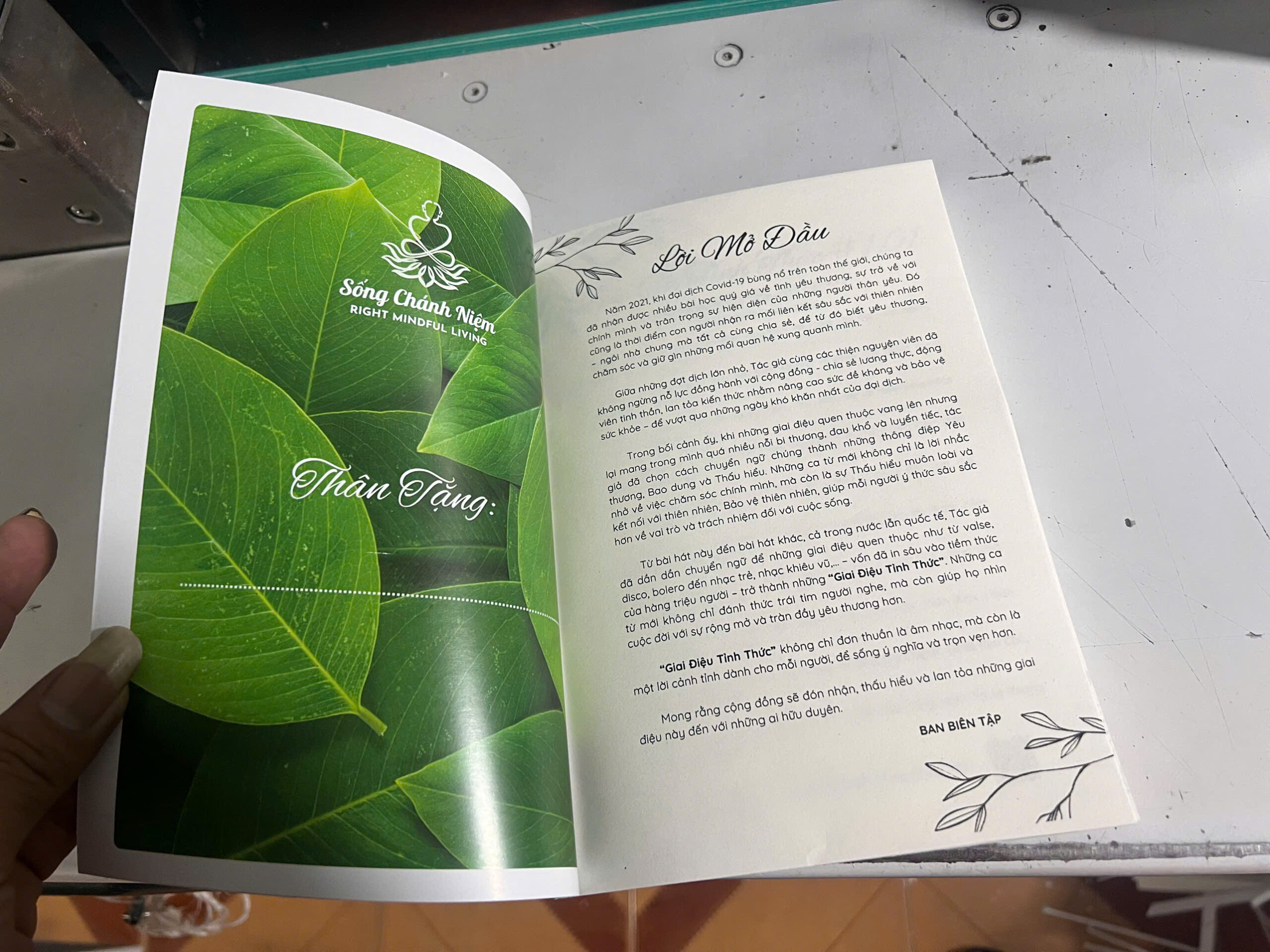 Photo màu, Photo màu A4 300đ/1 trang 1 Sách photo màu khổ A5